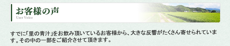 お客様の声