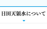 日田天領水について