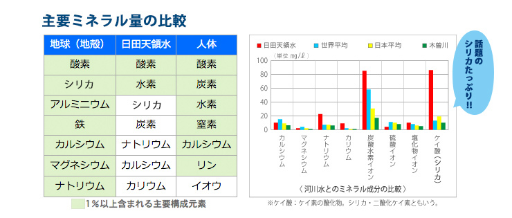 主要ミネラル量の比較