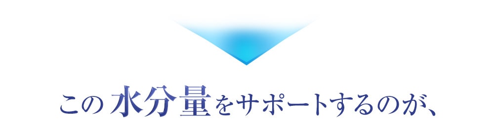 この水分量をサポートするのが天然地層フィルターで磨き上げられた日田天領水です　