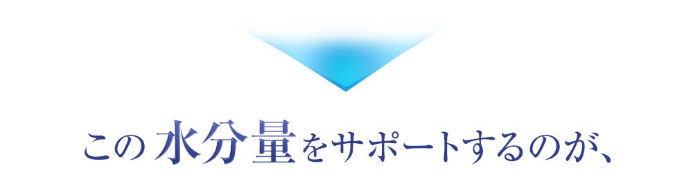 この水分量をサポートするのが天然地層フィルターで磨き上げられた日田天領水です　