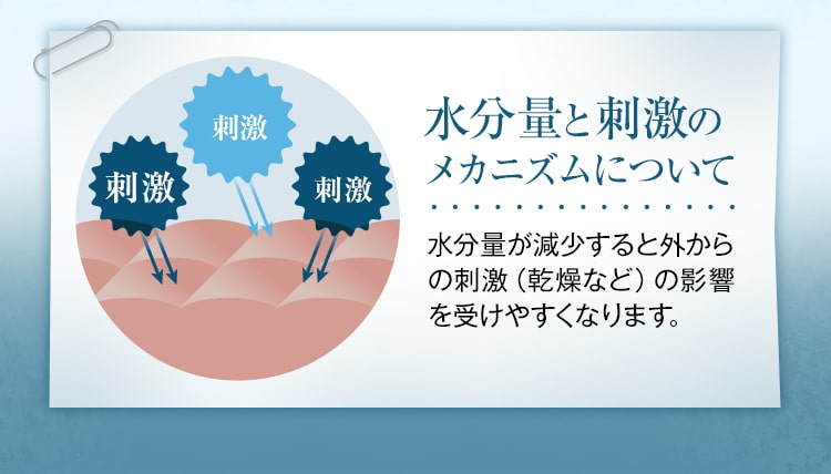 水分量と刺激のメカニズムについて　水分量が減少すると外からの刺激（乾燥など）の影響を受けやすくなります。