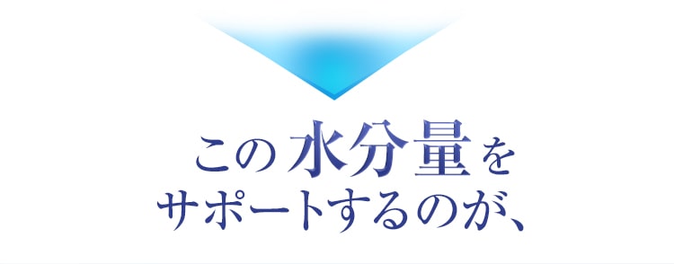この水分量をサポートするのが