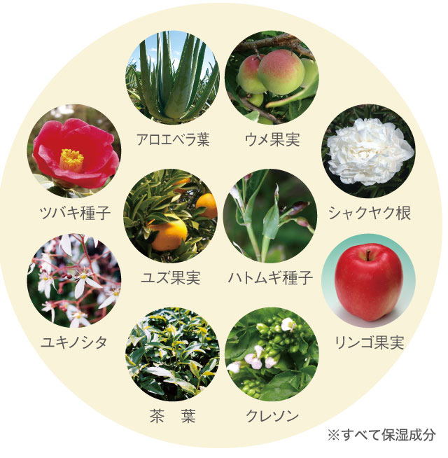 国産の10種類の植物エキス配合