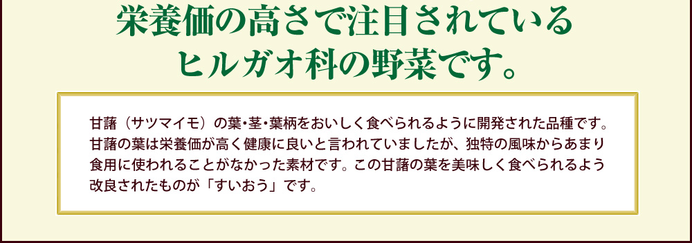 すいおうってどんな野菜