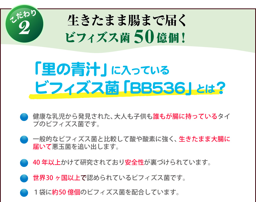 生きて腸まで届くビフィズス菌BB536