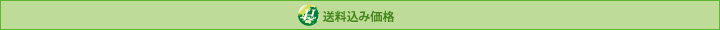 送料込み