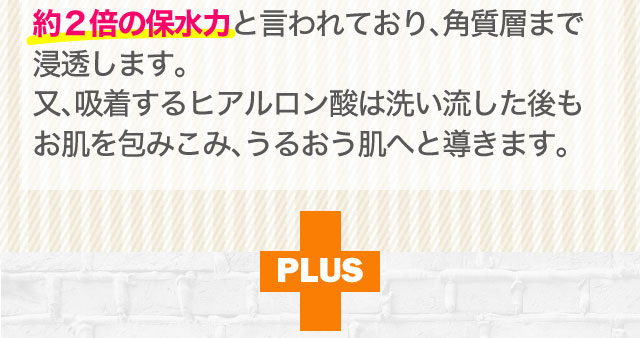 吸着型ヒアルロン酸は洗い流した後もお肌を包み込みうるおう肌へと導きます
