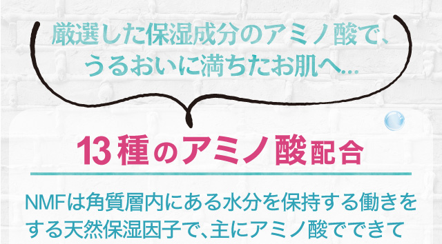 13種のアミノ酸配合