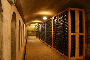 巨峰ワイン地下貯蔵庫