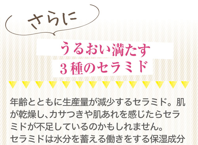 うるおい満たす３種のセラミド