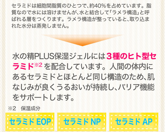 与えた水分は「はさみ込む」「抱え込む」でしっかりキープ