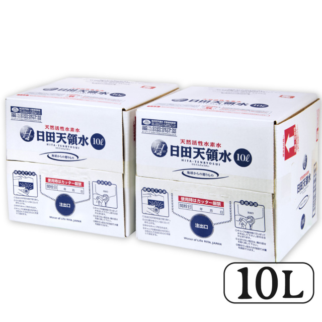 バッグインボックス10L