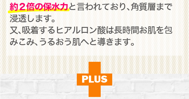 吸着型ヒアルロン酸は長時間お肌を包み込みうるおう肌へと導きます
